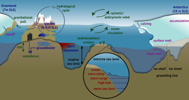 Schematic figure of sea level processes